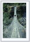 Bridge * 400 x 600 * (76KB)